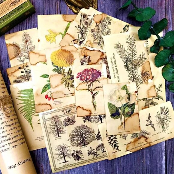 17Pcs Coffee-Dyed Plant Scrapbook Paper, Aesthetic Junk Journal Supplies - Picture 1 of 6